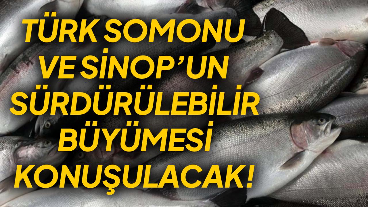 Sinop Vizyon 2030 Bilim söyleşileri başlıyor