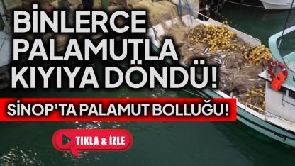 Sinop'ta bir gecede 3 bin 200 palamut avlandı