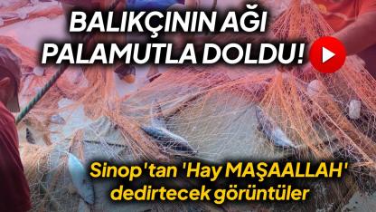 Sinop'ta denizden bereket fışkırdı