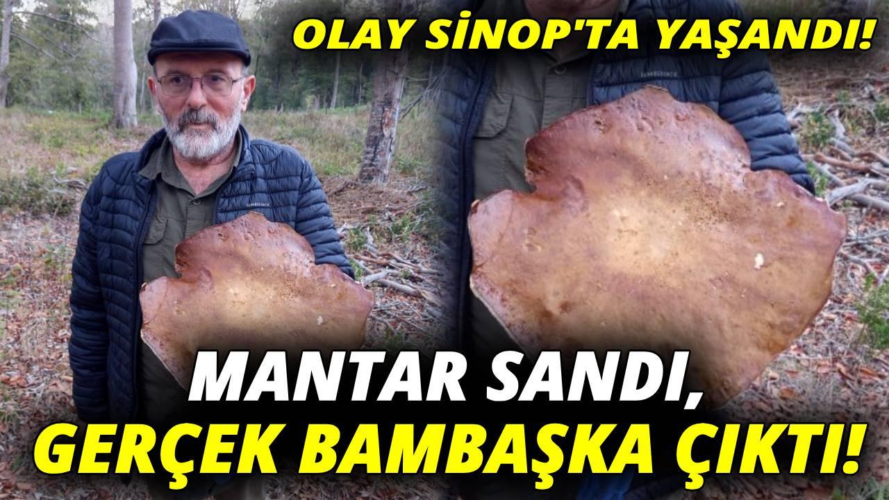 Sinop’ta hem şaşırtan hem güldüren olay!