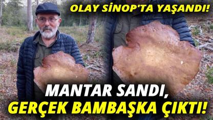 Sinop’ta hem şaşırtan hem güldüren olay!