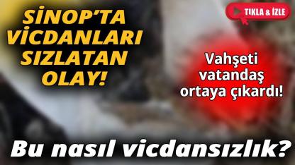 Sinop'ta kan donduran görüntüler!