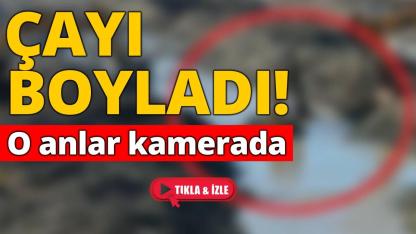 Sinop'ta korkutan kaza! İş makinesi çaya gömüldü