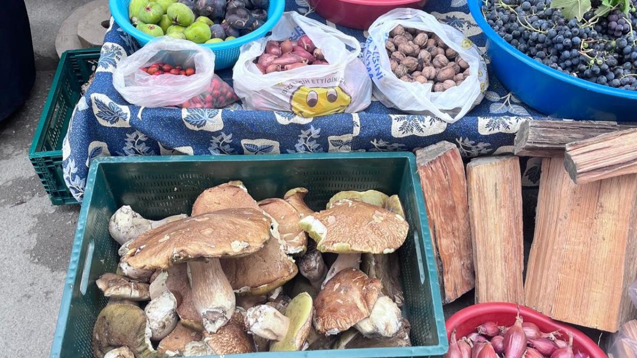 Sinop’ta sonbaharın bereketi pazara yansıdı