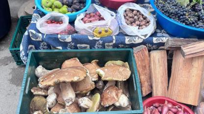 Sinop’ta sonbaharın bereketi pazara yansıdı