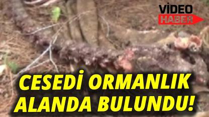 Sinop’ta ceset şoku!