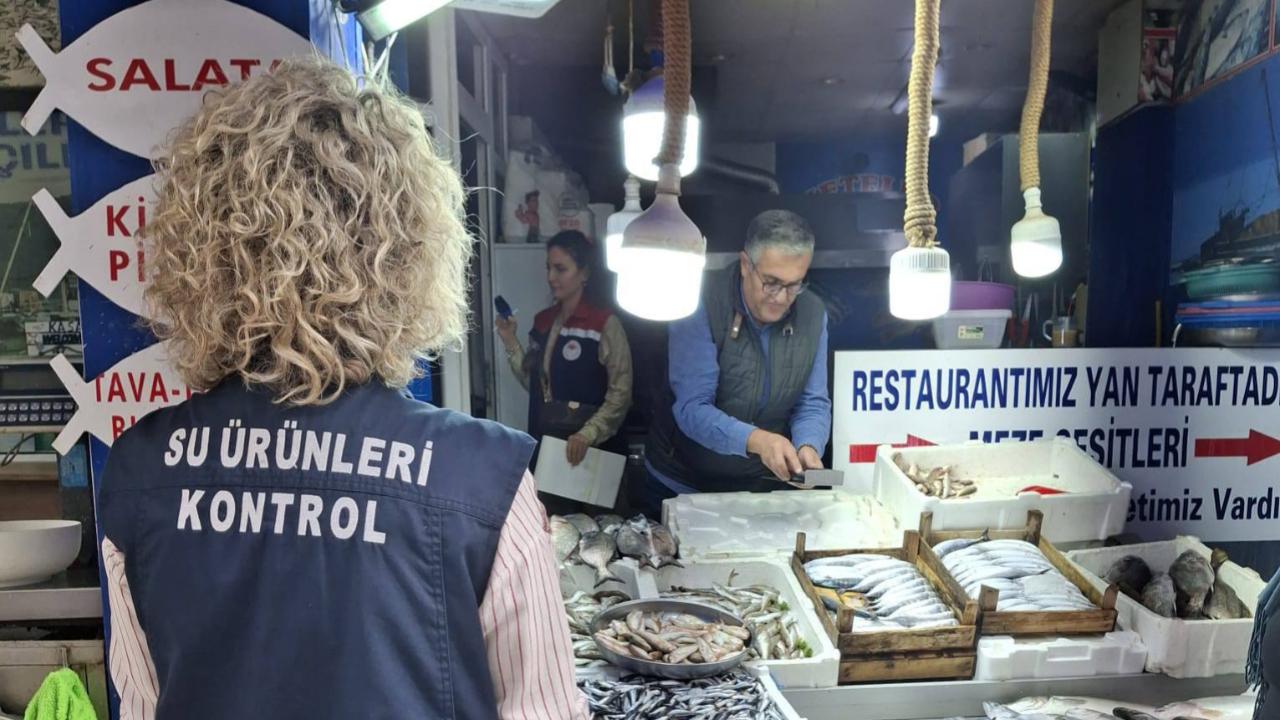 Sinop'ta sürdürülebilir balıkçılık için sıkı denetim!