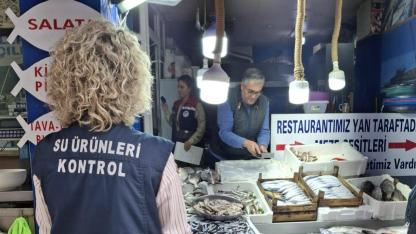 Sinop'ta sürdürülebilir balıkçılık için sıkı denetim!
