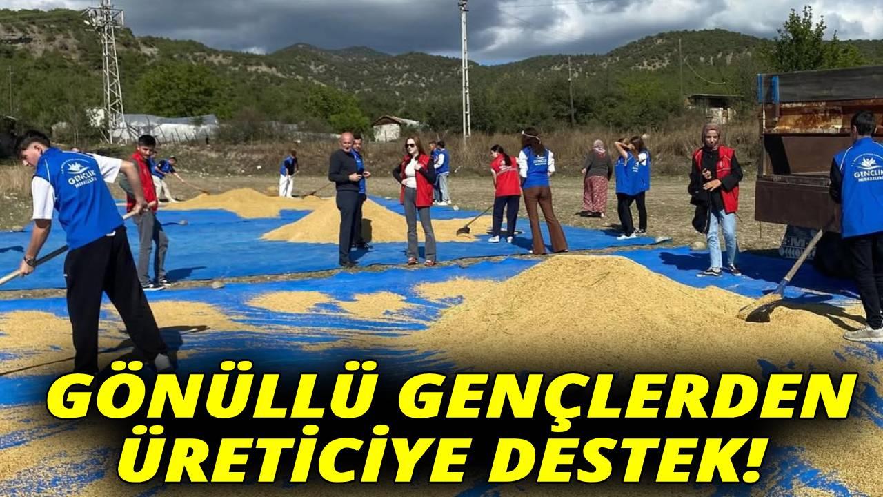 Sinop&#039;ta tarladan sofraya uzanan emeğe gençlik dokunuşu