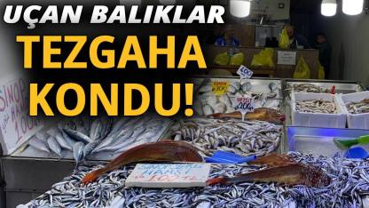 Sinop'ta tezgaha kondu!