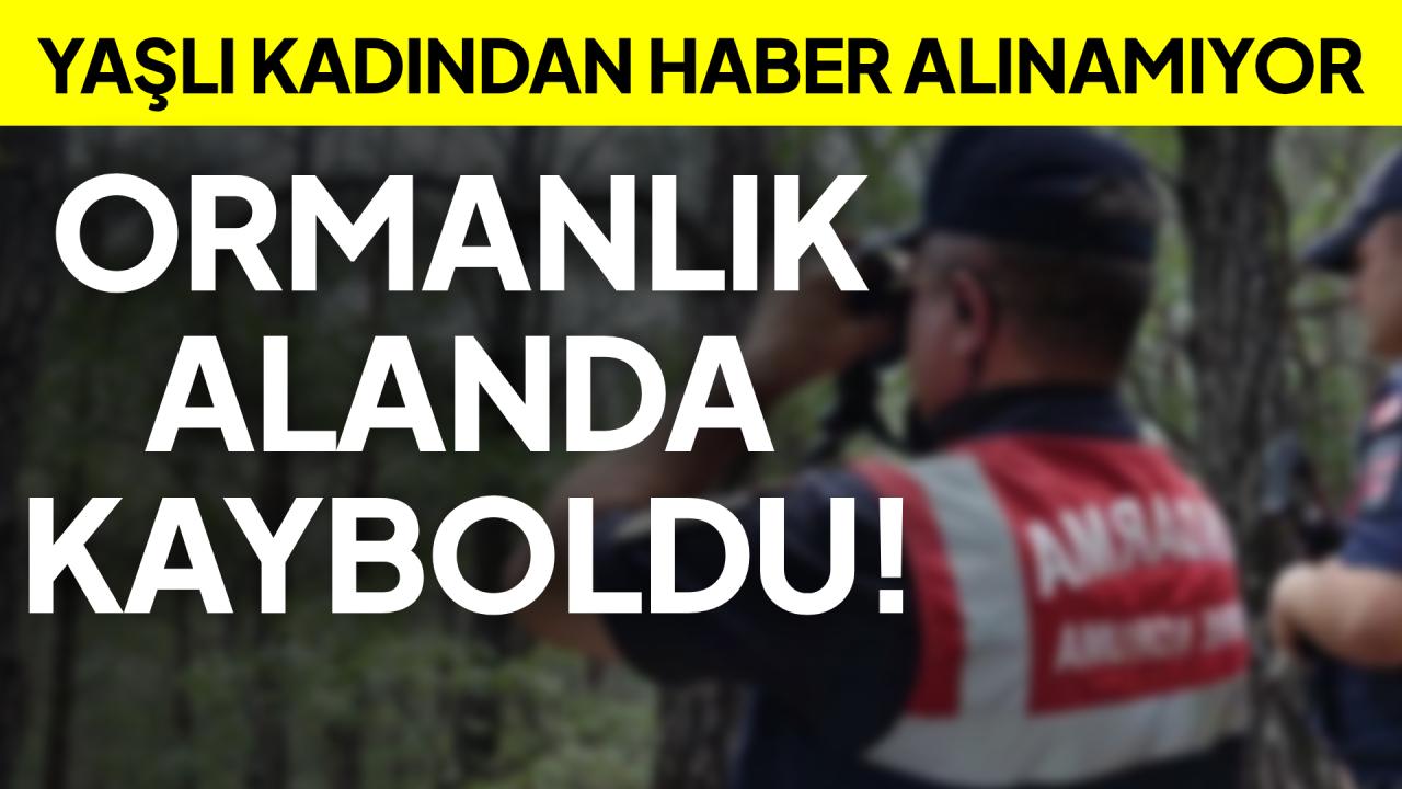 Sinop&#039;ta yaşlı kadın ormanda kayboldu: 3 saattir haber alınamıyor