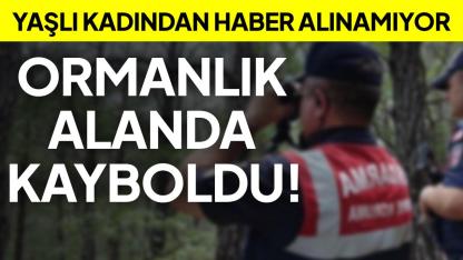 Sinop'ta yaşlı kadın ormanda kayboldu: 3 saattir haber alınamıyor