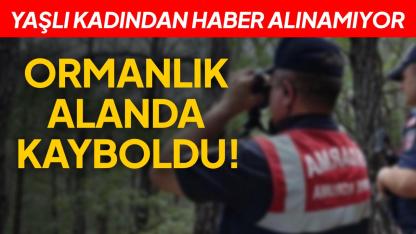 Sinop'ta yaşlı kadın ormanda kayboldu: 3 saattir haber alınamıyor