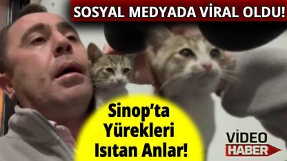 Sinop’ta yavru kedi ezan okuyan müezzine eşlik etti