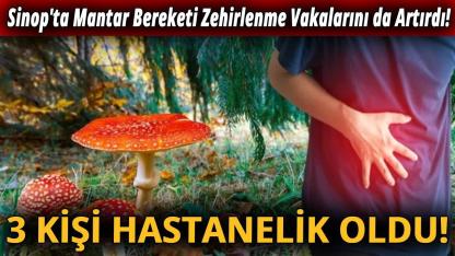 Sinop'ta zehirli mantar vakası!