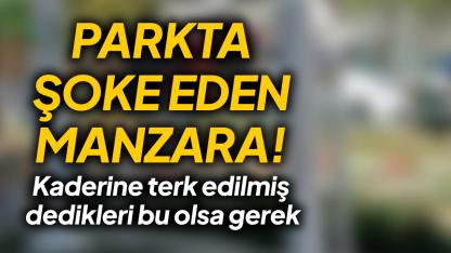 Spor yapmak hayal oldu
