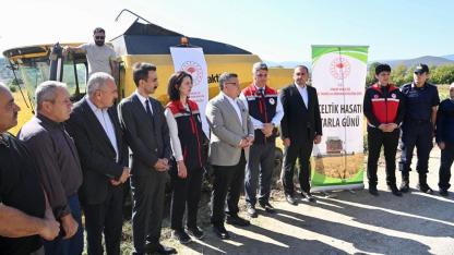 Vali Özarslan Saraydüzü’nde Çeltik Hasadına Katıldı