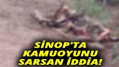 Yetkililerden açıklama bekleniyor