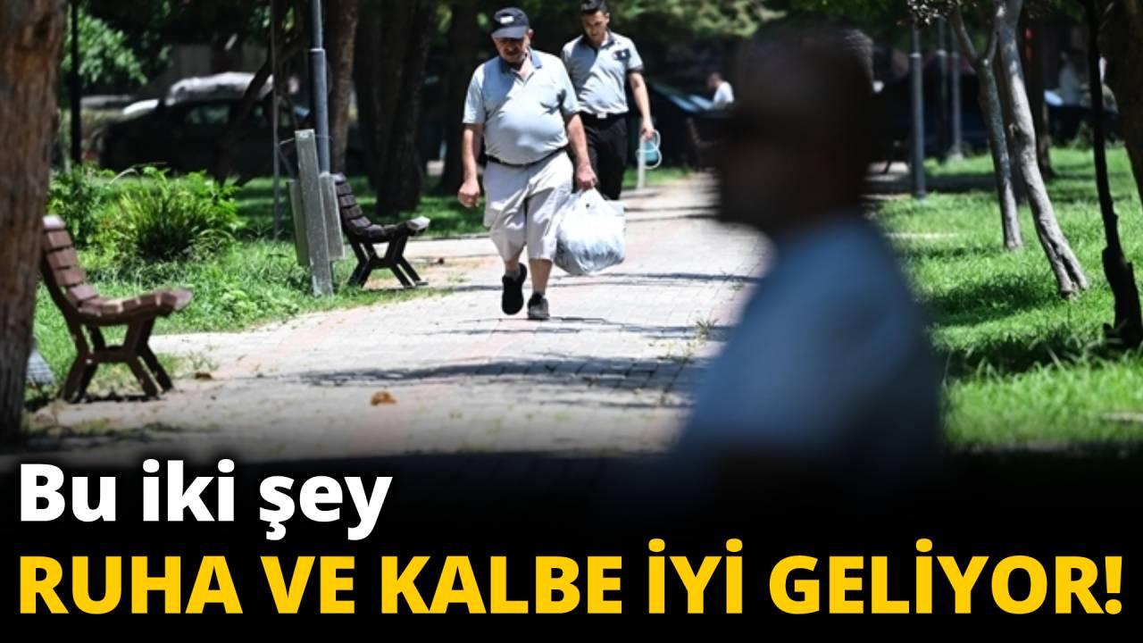 Ağaçlar hem ruha hem kalbe kalkan oluyor