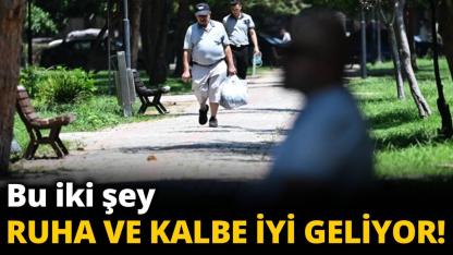 Ağaçlar hem ruha hem kalbe kalkan oluyor