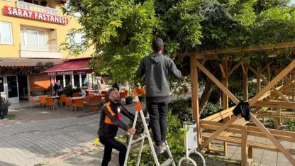 Ağaçlar sağlıklı gelecek için budanıyor