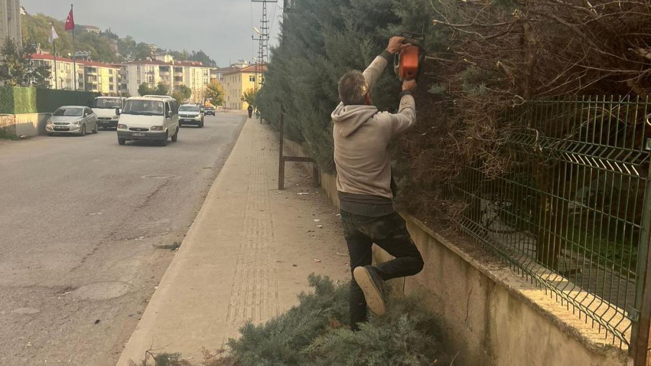 Ayancık&#039;ta ağaçlara kış bakımı