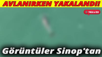 Balık avına çıktı, drona yakalandı