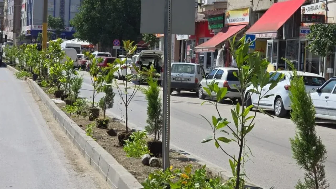 Boyabat&#039;ta yeşil dönüşüm hamlesi