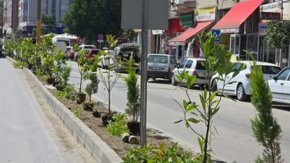 Boyabat'ta yeşil dönüşüm hamlesi