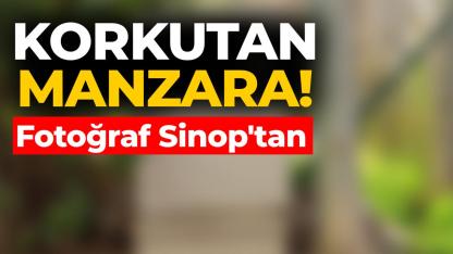 Bu sokaktan geçenler korkuya kapılıyor