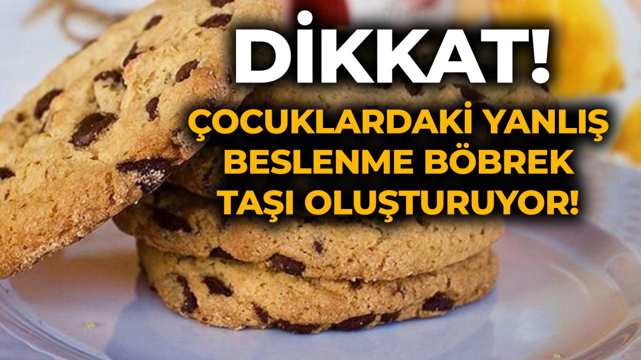 Çocuklarda böbrek taşı oluşumunda yanlış ve sağlıksız beslenmenin rolü büyük