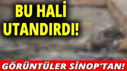 Doğal güzelliğine gölge düştü