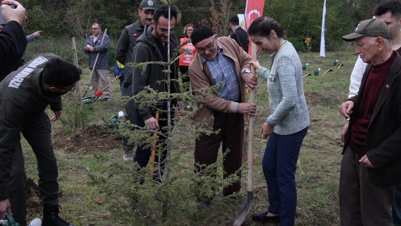 Gerze’de şehit orman görevlileri anısına fidan dikildi