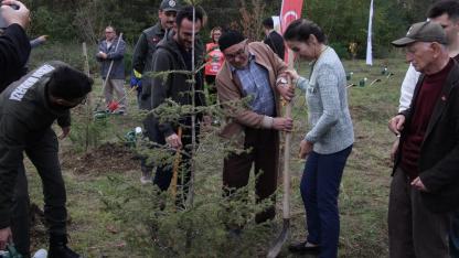 Gerze’de şehit orman görevlileri anısına fidan dikildi