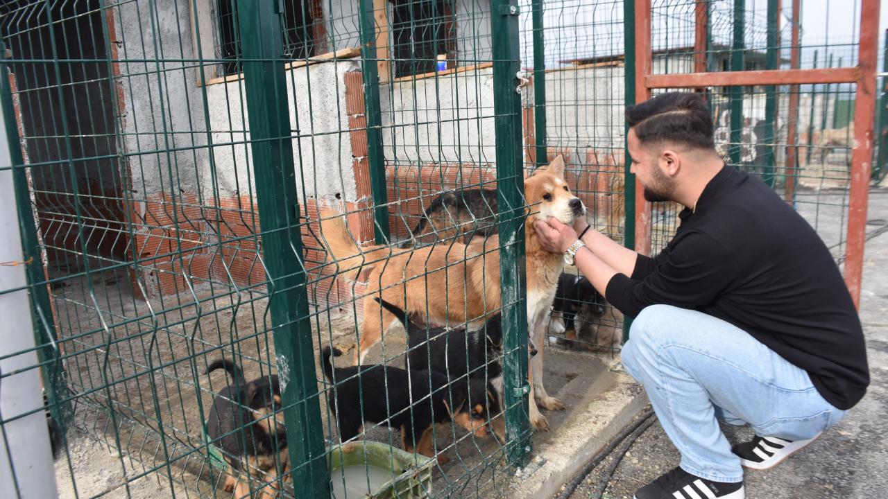 Hayvanseverlerden can dostlara ziyaret