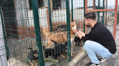 Hayvanseverlerden can dostlara ziyaret