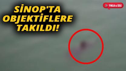İşte böyle görüntülendi!