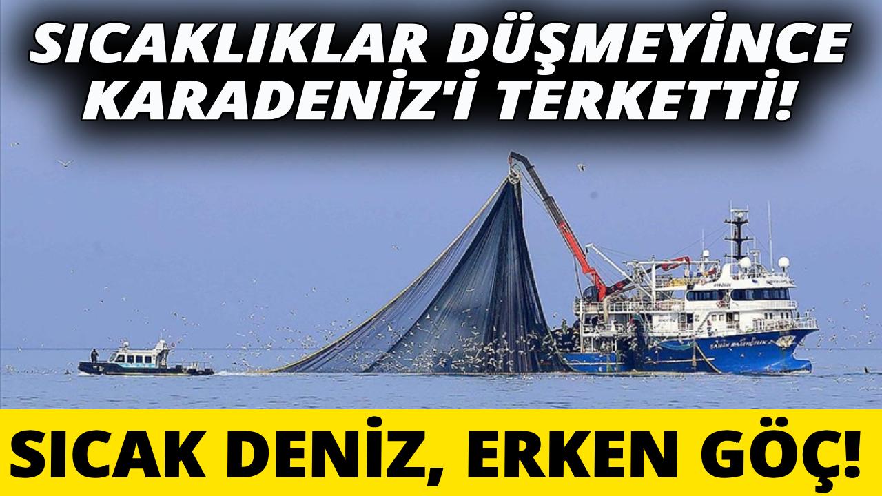 Karadeniz'de hamsi krizi!