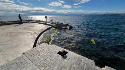 Kaza olunca mı önlem alınacak?" Gazi Caddesi sahili demir korkuluk bekliyor