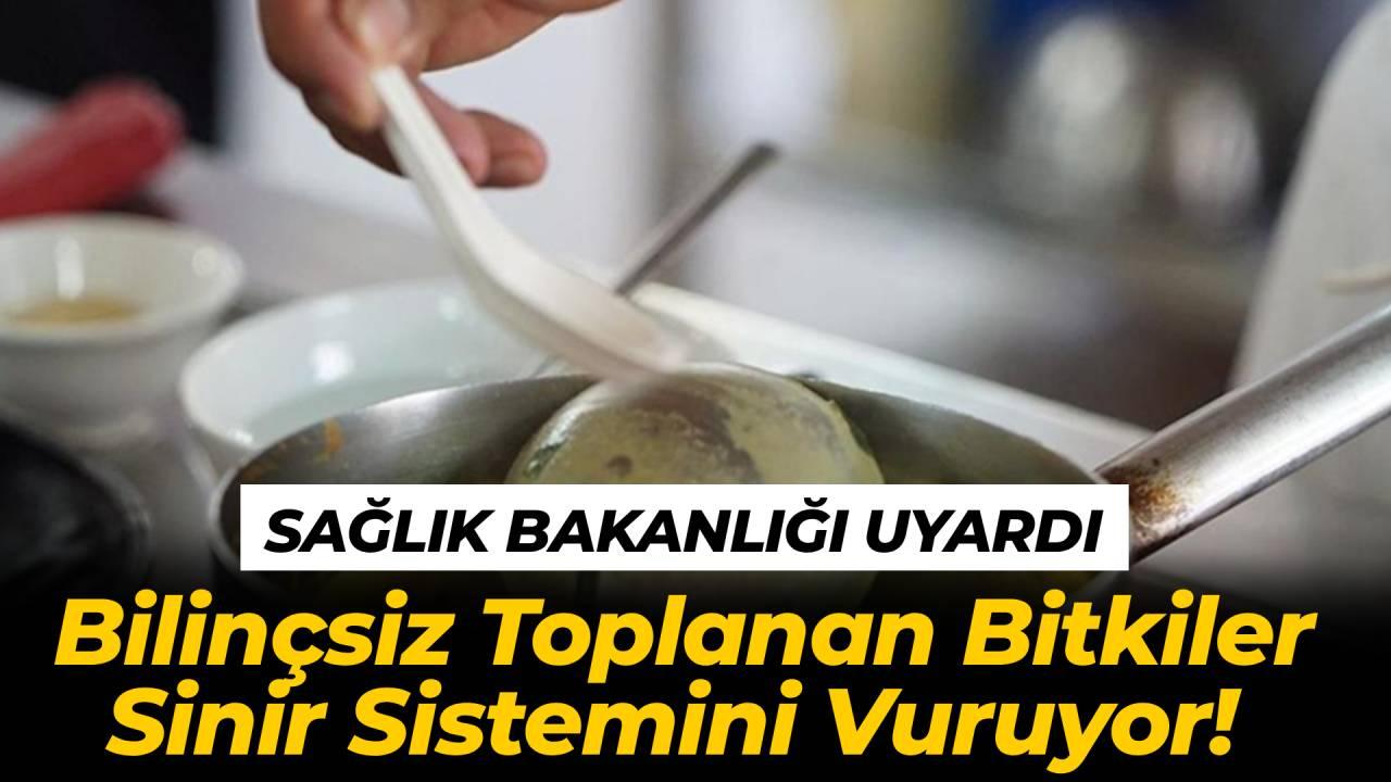 Kontrolsüz toplanan bitkiler ve toplu yemeklerdeki sağlıksız gıdalar zehirlenme riskini artırıyor