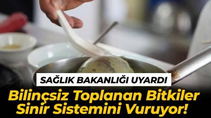 Kontrolsüz toplanan bitkiler ve toplu yemeklerdeki sağlıksız gıdalar zehirlenme riskini artırıyor