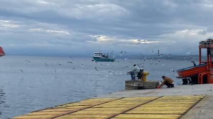 Balıkçıların dönüşüyle ortalık karıştı