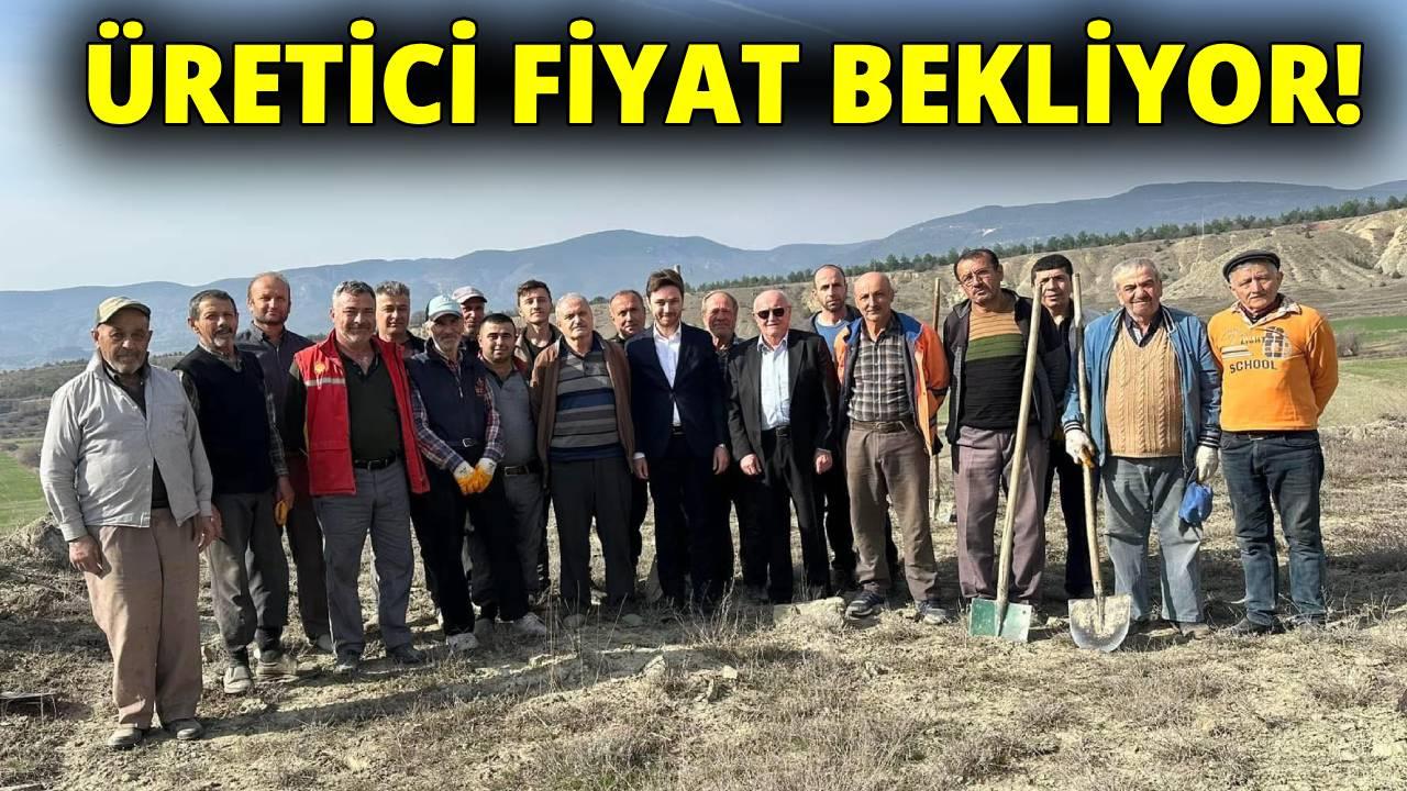 MHP’li Çakır’dan TMO’ya çağrı
