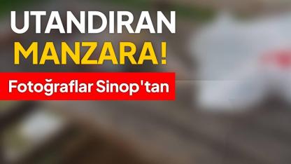 Parktaki sorumsuzluk isyan ettirdi: "Burası ortak alanımız!"
