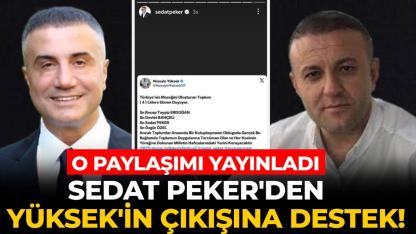 Peker'den Yüksek'in çıkışına anında destek: O paylaşımı yayınladı