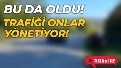 Karayolunu onlar bastı trafik karıştı