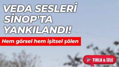 Sinop'un göçmen misafirleri gidiyor