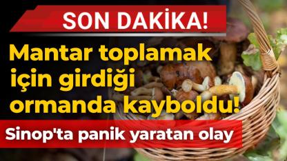 Sinop'ta mantar toplayıcısı kayboldu! Ekipler harekete geçti