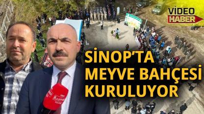 Sinop’ta Milli Ağaçlandırma Günü