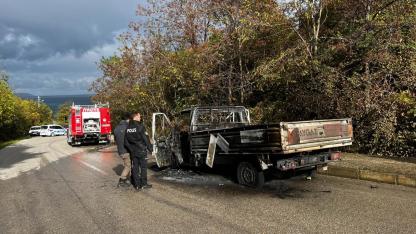 Sinop'ta seyir halindeki kamyonet alevlere teslim oldu